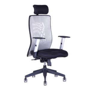 CALYPSO XL SP1 – Kancelářské křeslo Office Pro